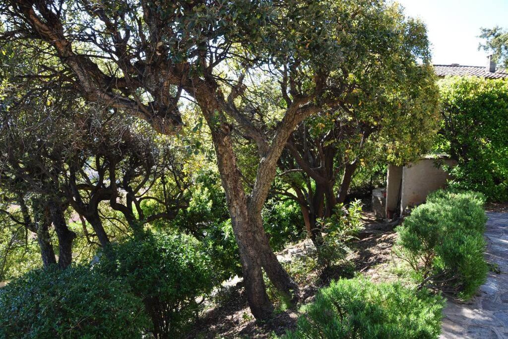 Villa Abeille : Douces Vacances D'Ete Avec Vue Mer Cavalaire-sur-Mer Exterior foto